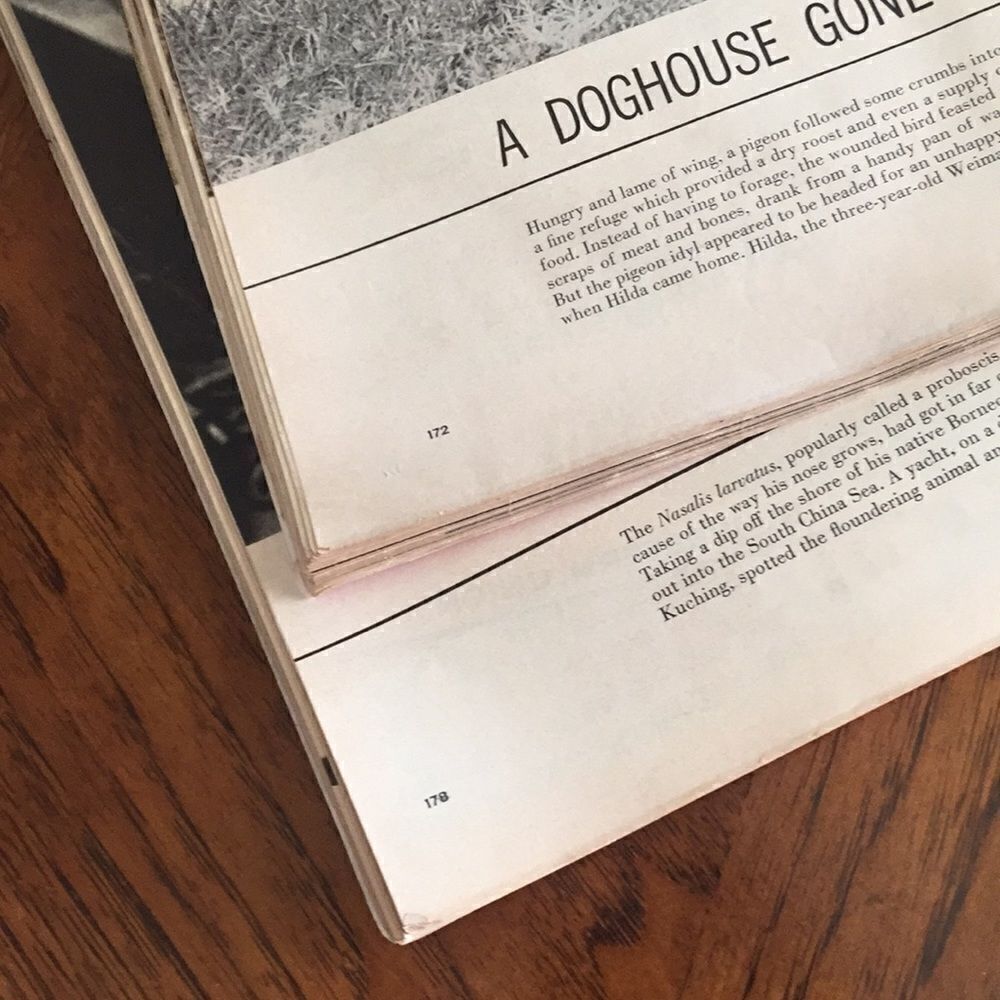 Bundle. Journal Life. - Picture 4 of 4